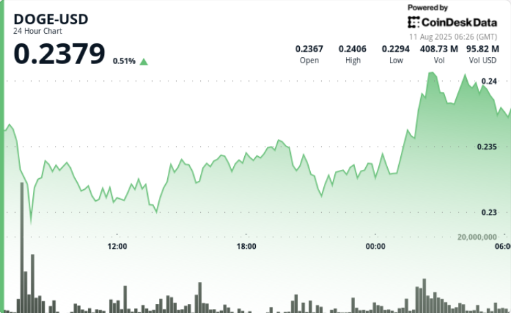 Major Purchase of $200 Million Helps DOGE Surge by 3%