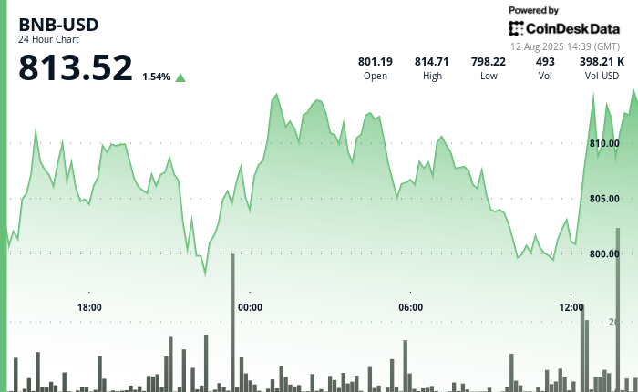 BNB Surpasses $810 as Buyers Aim for $815 Resistance
