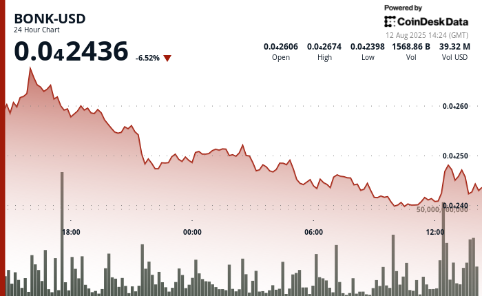 BONK Token Experiences 6% Decline as It Approaches Key Support Level
