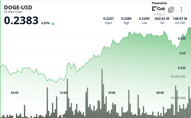 DOGE Markets Show Positive Signals with 5.6% Rise Amid Whale Accumulation