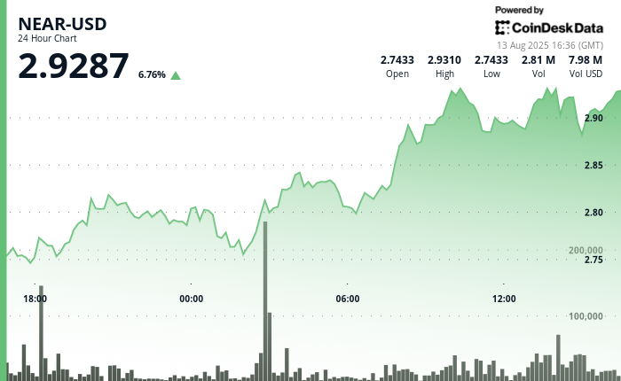 NEAR Protocol Surges Amid Strong Institutional Support