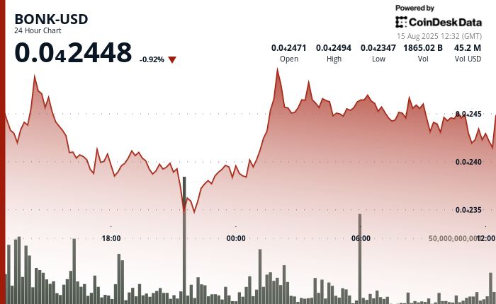 BONK Stabilizes After Significant Selling Pressure Impact on Solana's Meme Token