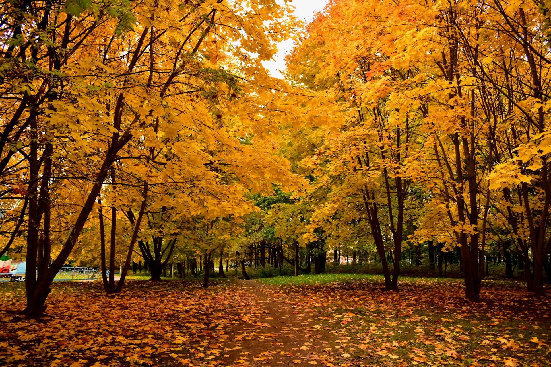 Potential Shift to Altcoin Season in September as Bitcoin’s Market Control Diminishes