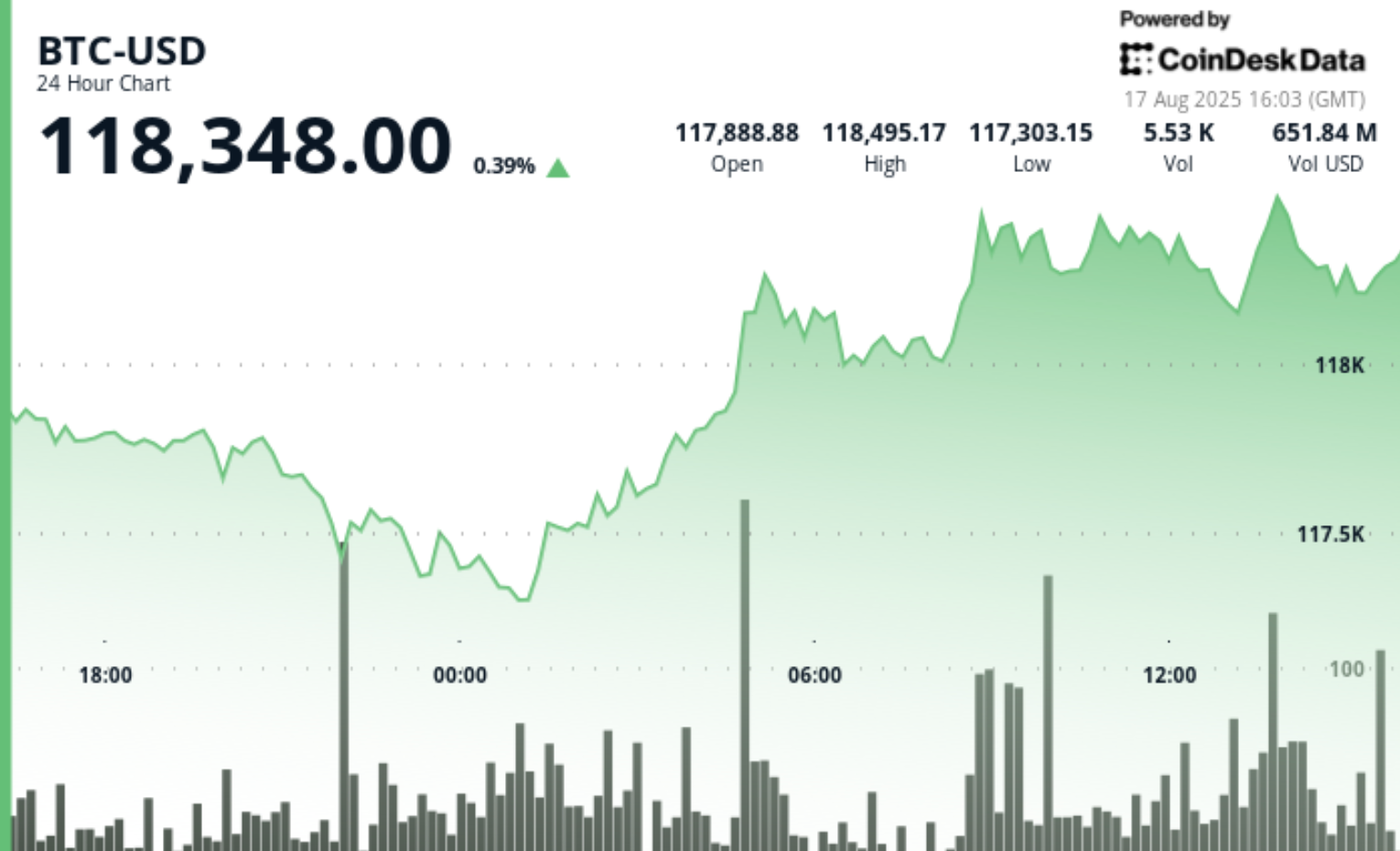 Bitcoin Holds Steady at $118K Amid Analysts' Caution on Market Trends