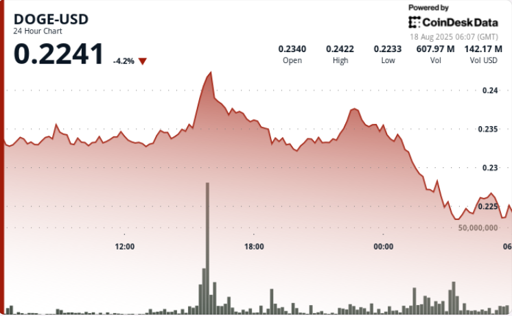 DOGE Plummets as Sellers Dominate Despite Whale Accumulation