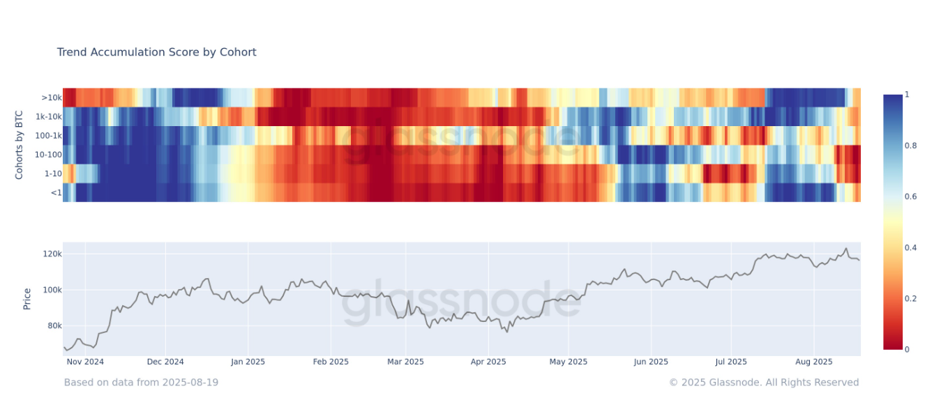 All Bitcoin Wallet Groups Now Shift to Distribution Mode, Glassnode Reports