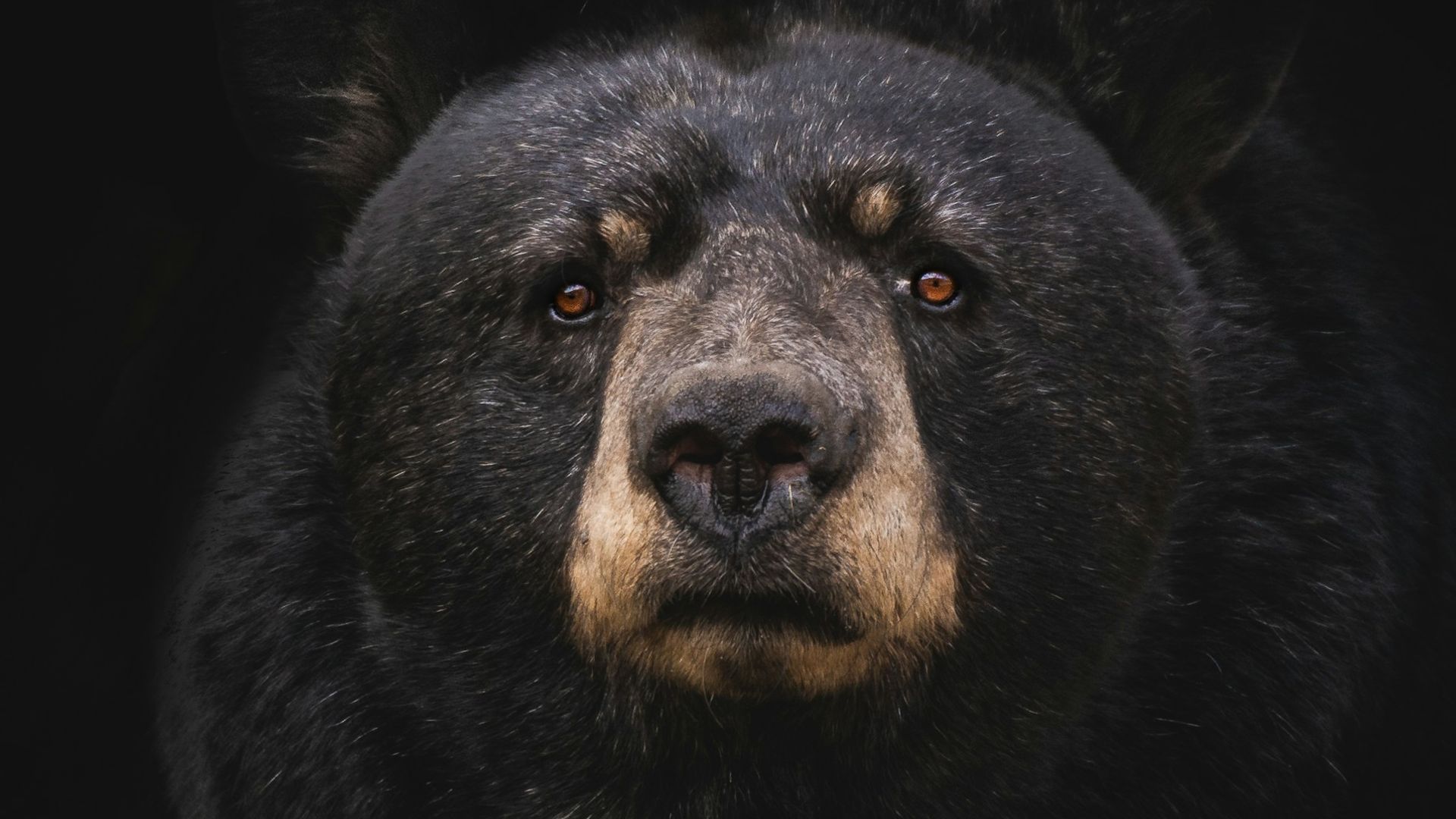 Asia Morning Briefing: Traders Show Caution for BTC and ETH as Retail Interest Wanes