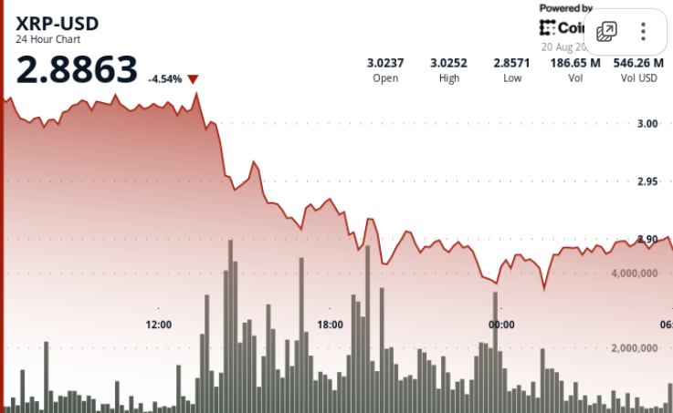 XRP Faces Pressure: Falls to $2.90 Amid ETF Approval Delays and Security Concerns
