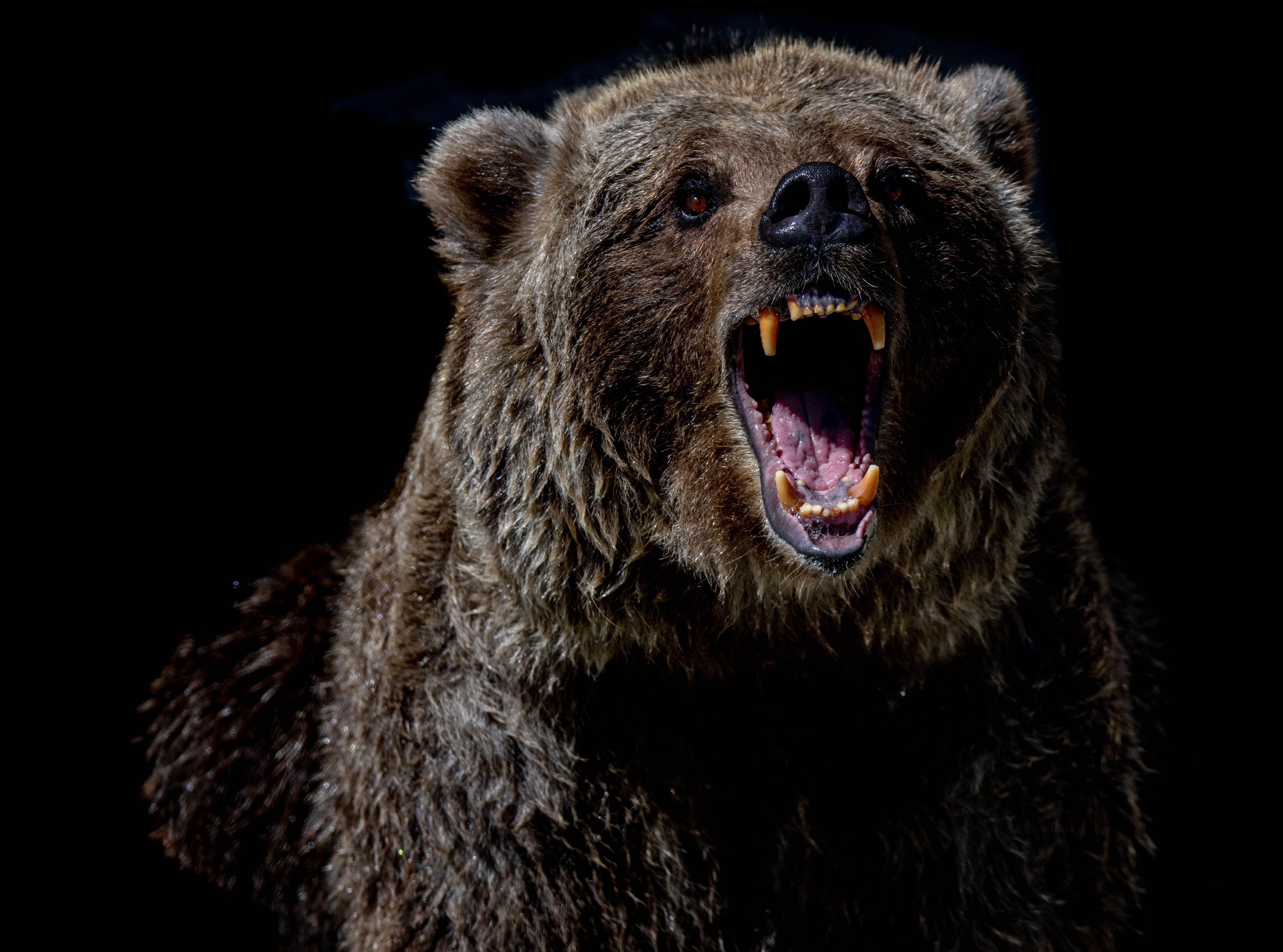 Bitcoin Dips Below $110K as Crypto Market Struggles; Ether Sees 8% Drop