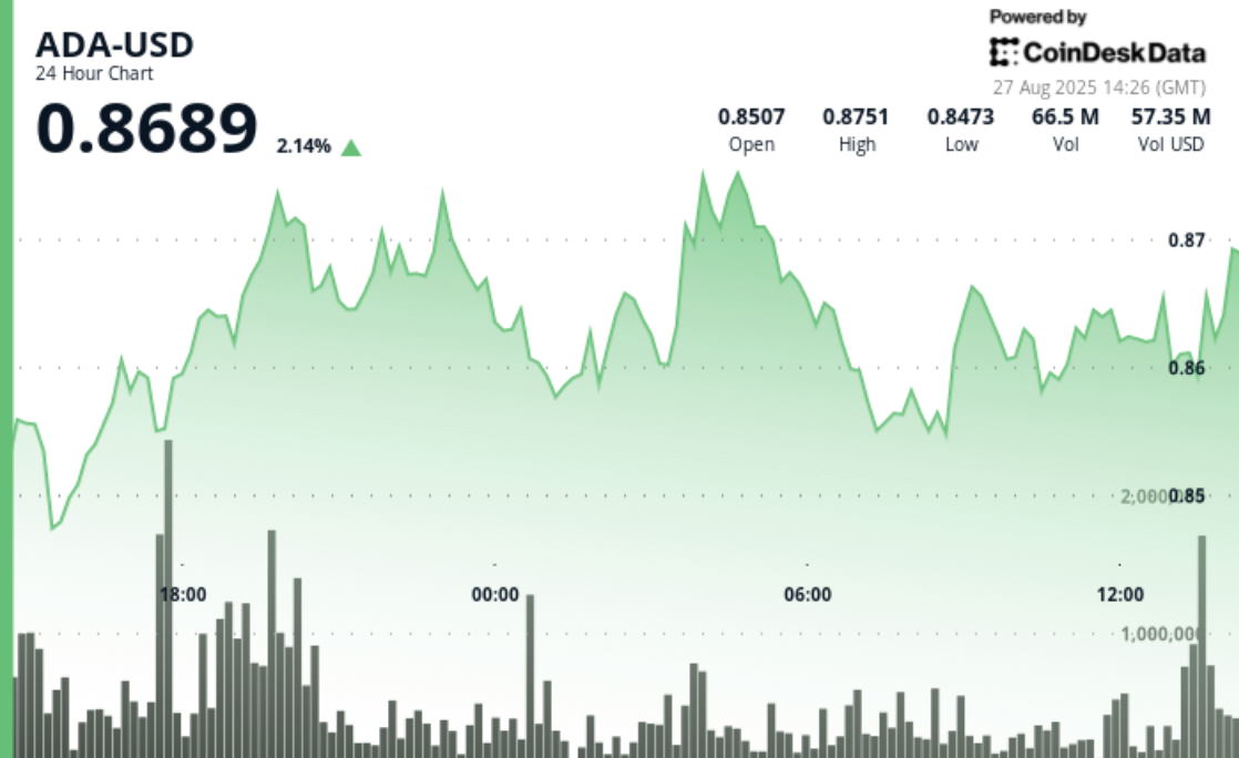Cardano Sees 2% Increase, Overcomes ETF Delay