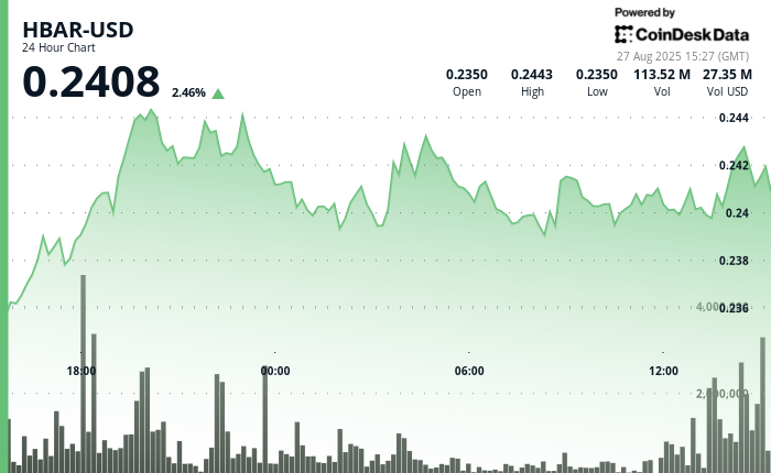 HBAR Maintains Stability at $0.24 Amid Institutional Momentum