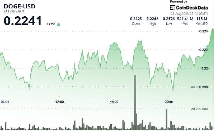 DOGE Encounters Selling Pressure Following $200M Whale Transfer to Binance