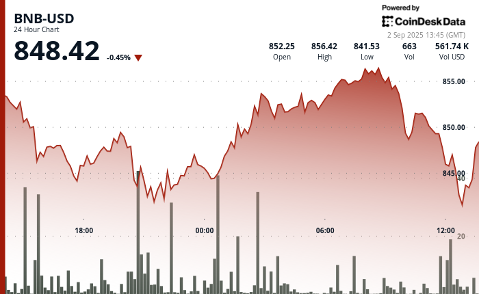 BNB Steady at $850 Following a Short-Lived Surge Above $855 Amid Seller Activity