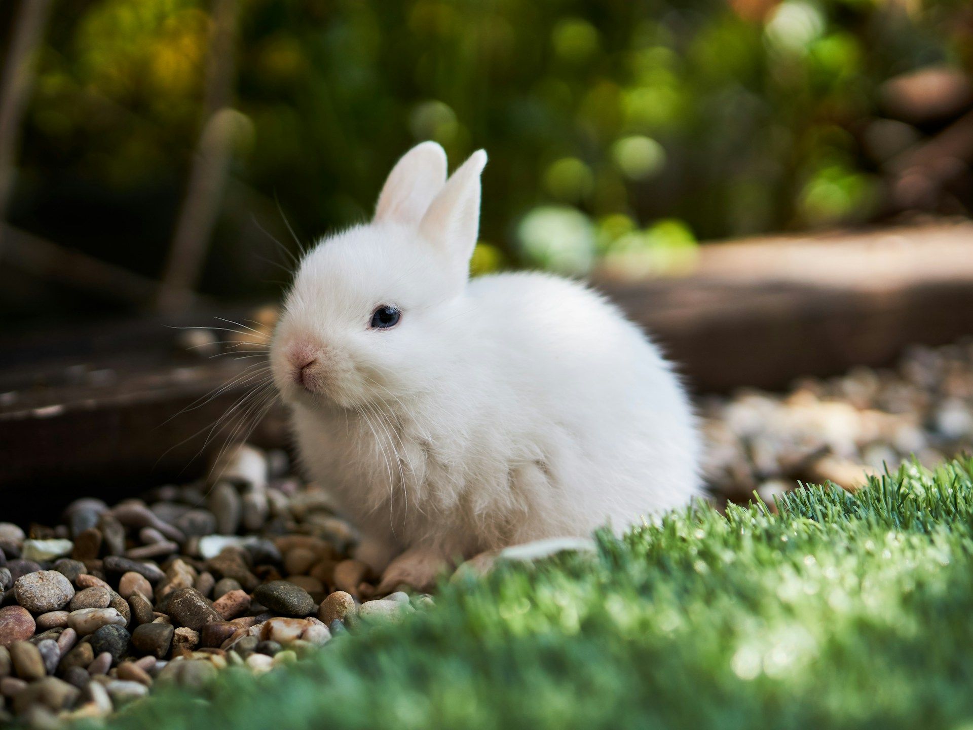 Bunni DEX Suspends Smart Contracts Following $8.4 Million Exploit