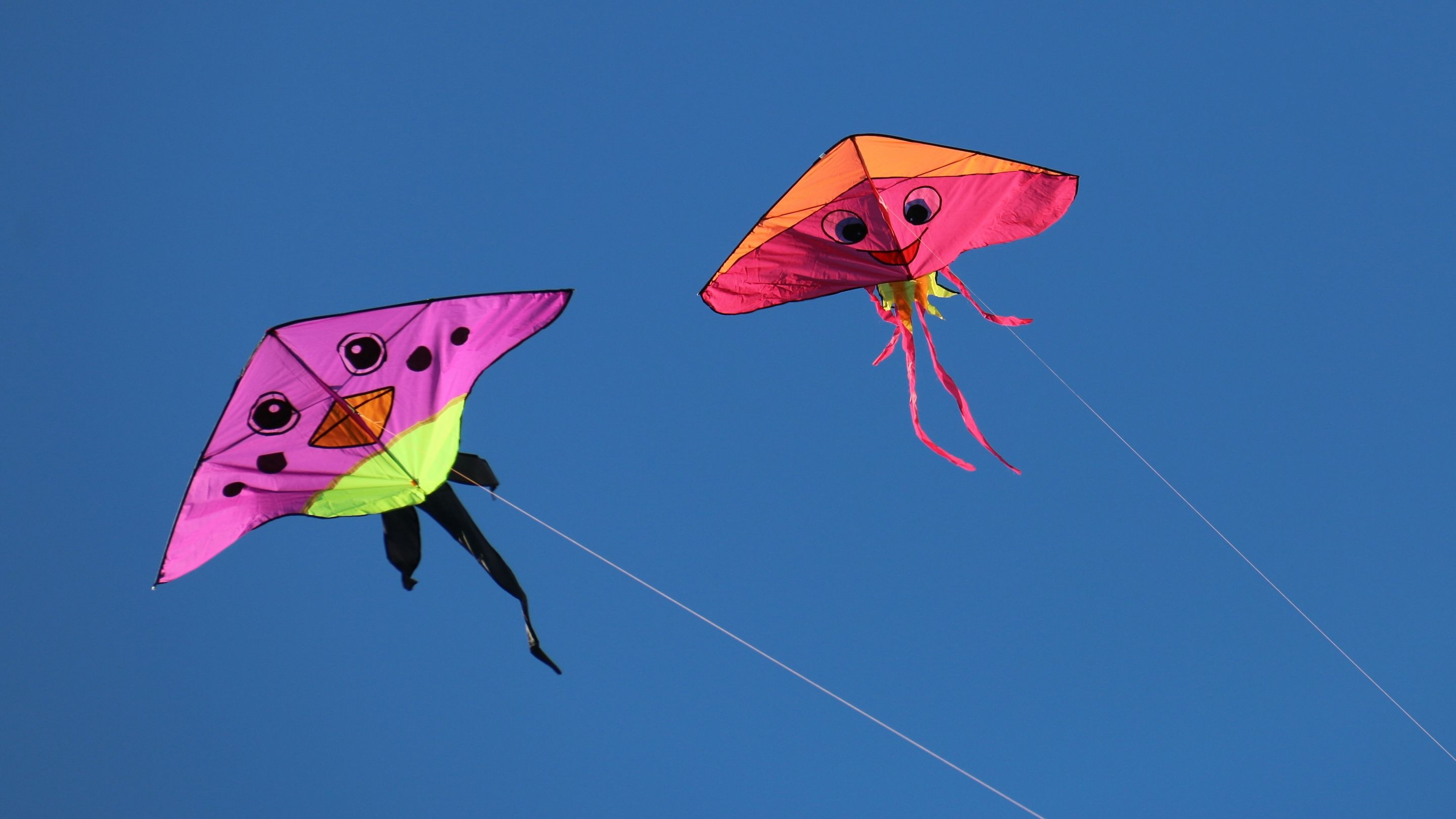 Kite Secures $18 Million in Funding to Enhance Autonomous Transactions with Stablecoins