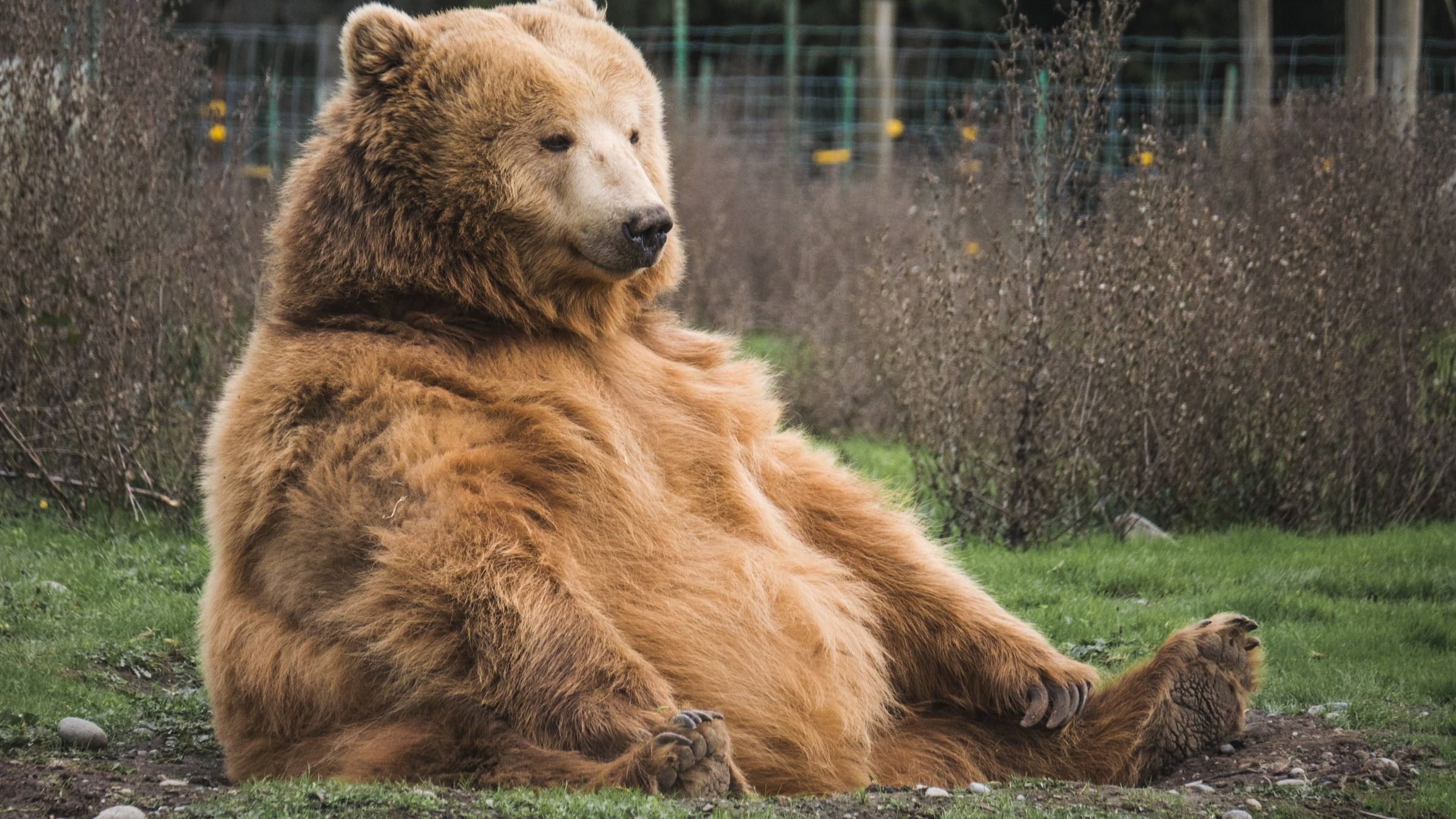 Bearish Trends in Bitcoin Options Ahead of Friday's Expiry: A Crypto Daybook Overview