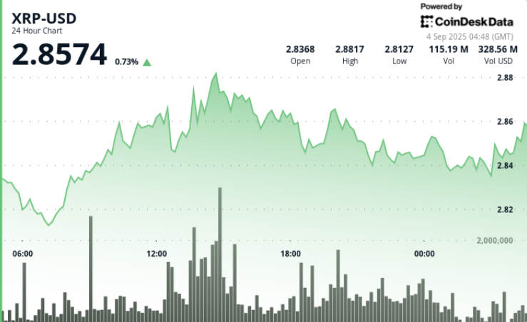 XRP's Trading Dynamics: A Look at Price Movements