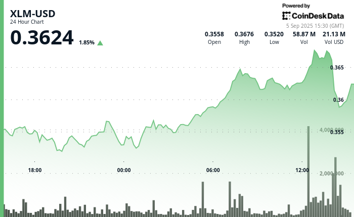 XLM Experiences 5% Surge Followed by Rapid Decline