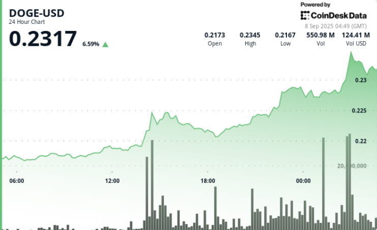 DOGE Price Action Shows Higher Low Formation Amid Resistance Struggles