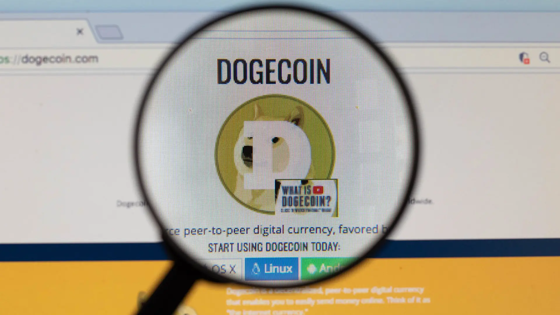 Potential Launch of Dogecoin ETF in the U.S. This Week