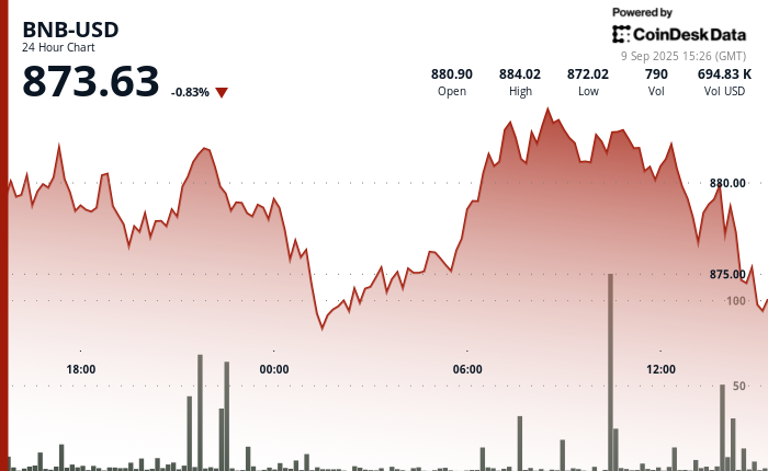 BNB's Surge to $884 Proves Brief as Market Declines