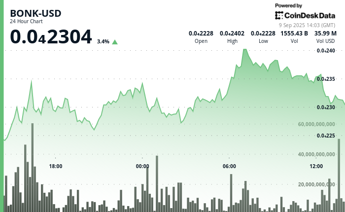 BONK Sees 9% Surge Amid Shift to New Meme Tokens