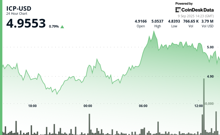 ICP Sees 3% Decrease as Price Rally Fades at $5.05 Resistance Level