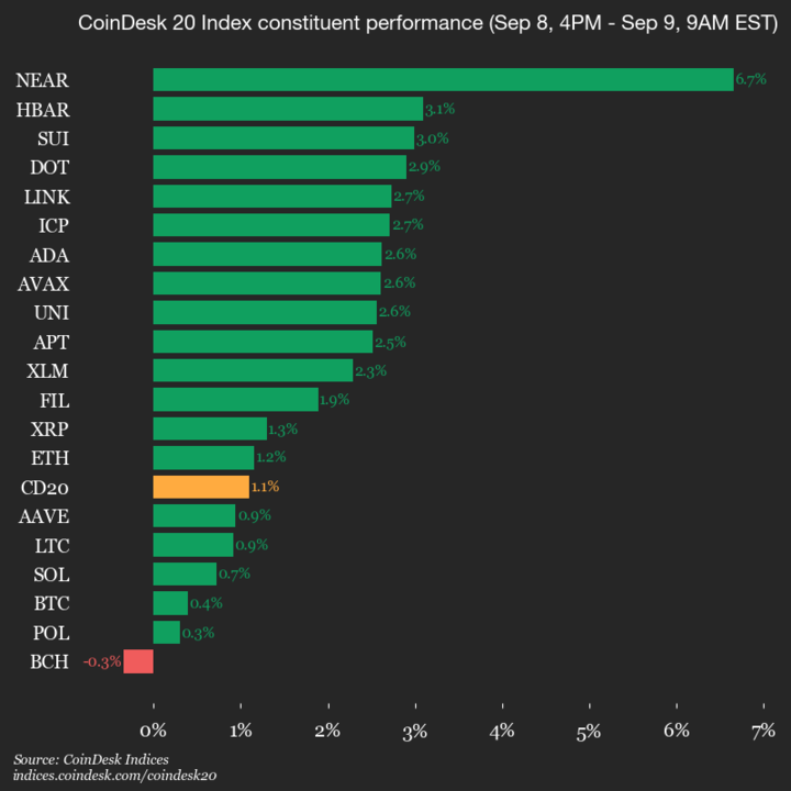 NEAR Protocol Rises 6.7% in Latest CoinDesk 20 Update