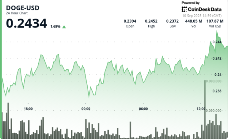 Dogecoin Set to Surge as ETF Launch Sparks Optimism
