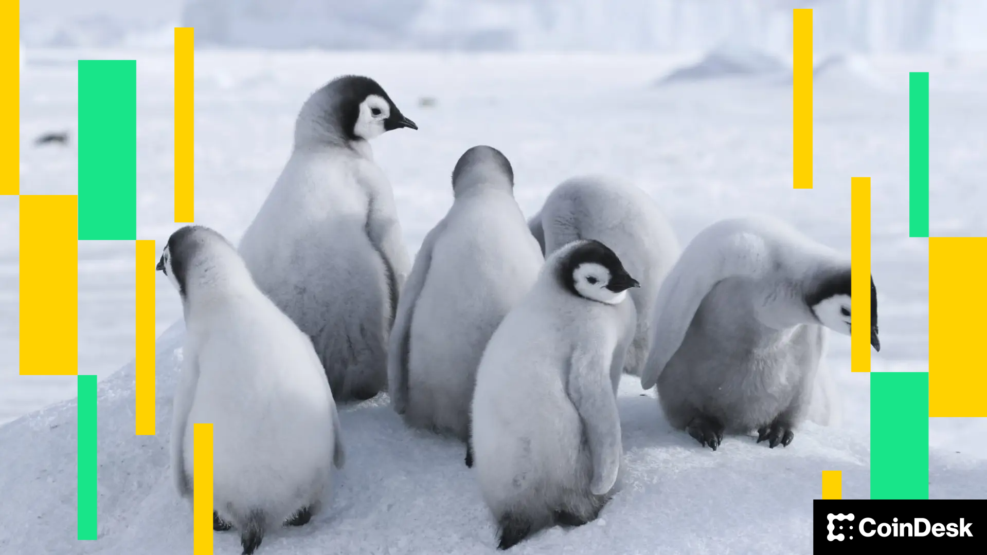 Crypto Markets Today: Bitcoin Declines While PENGU's Open Interest Soars