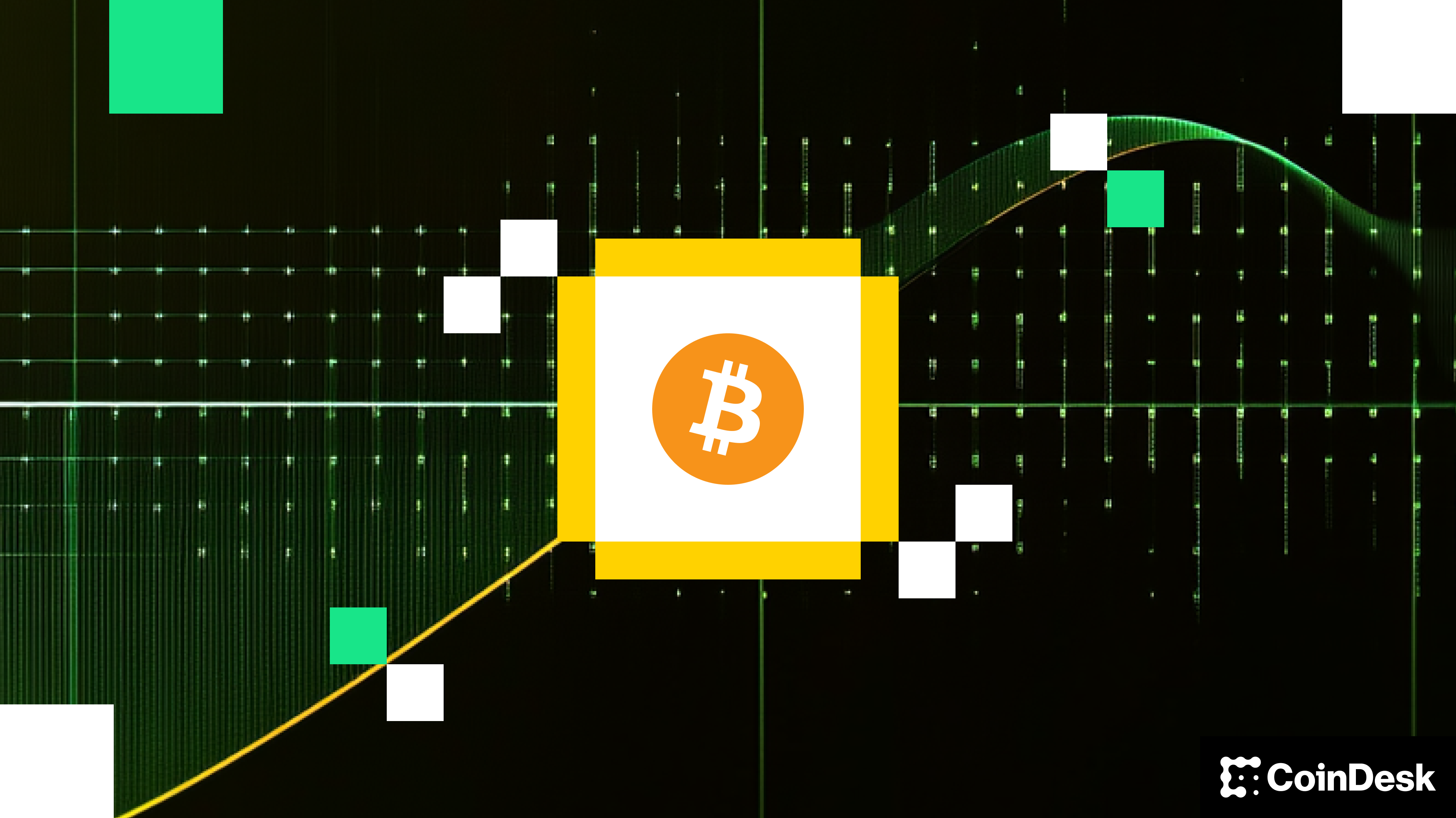 Corporate Bitcoin Accumulation Stalls in August Amid Treasury Increases