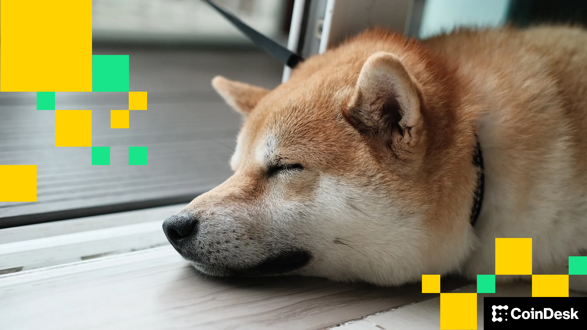 Memecoins Facing Downturn as SHIB and Dogecoin Decline Following $2.4M Shibarium Hack