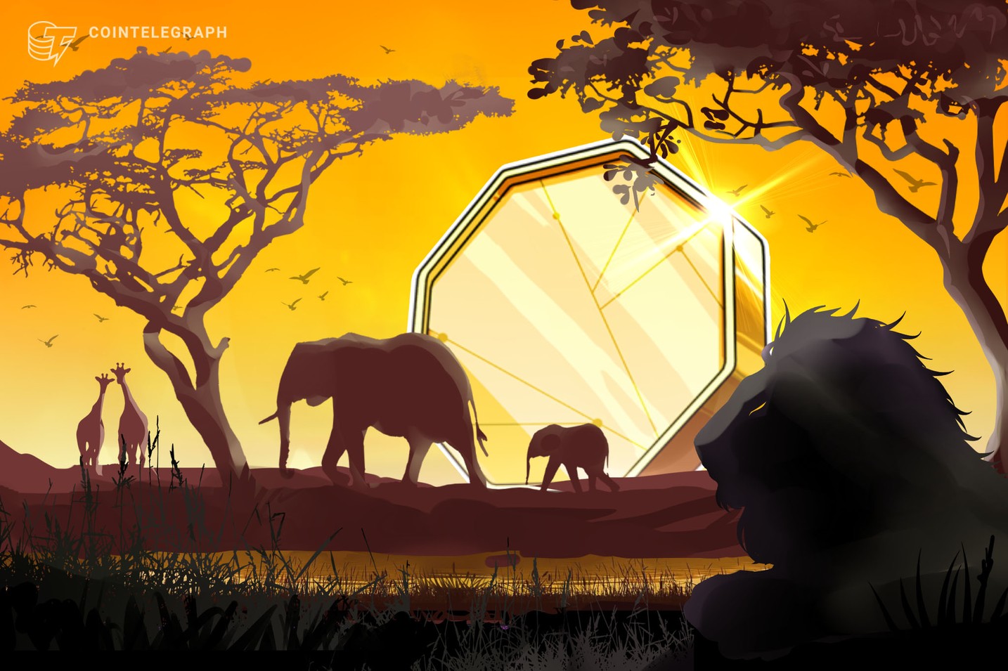 Crypto Payments Now Accepted at 650,000 Stores in South Africa