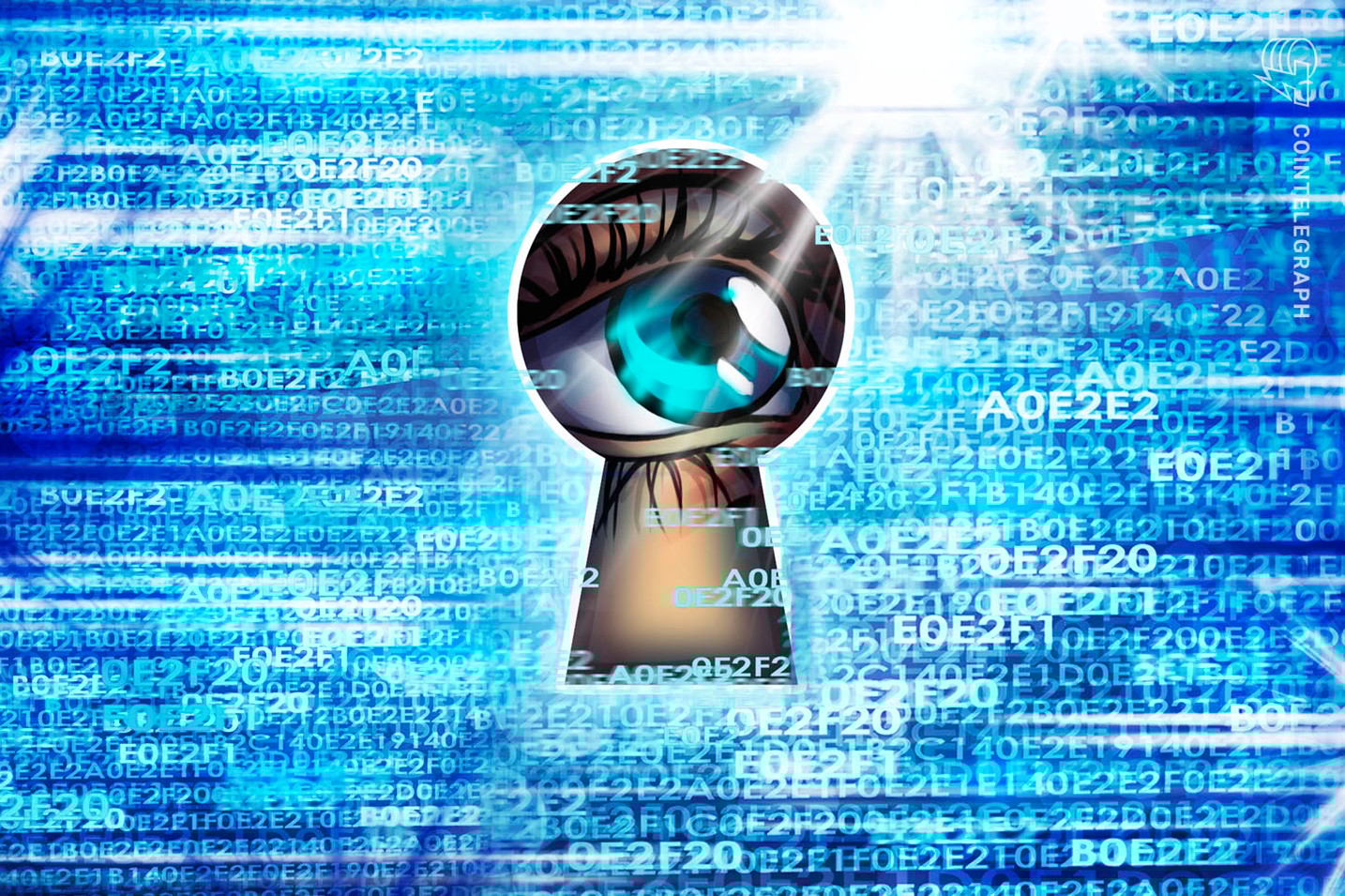 This Week's Surge in Privacy Coins