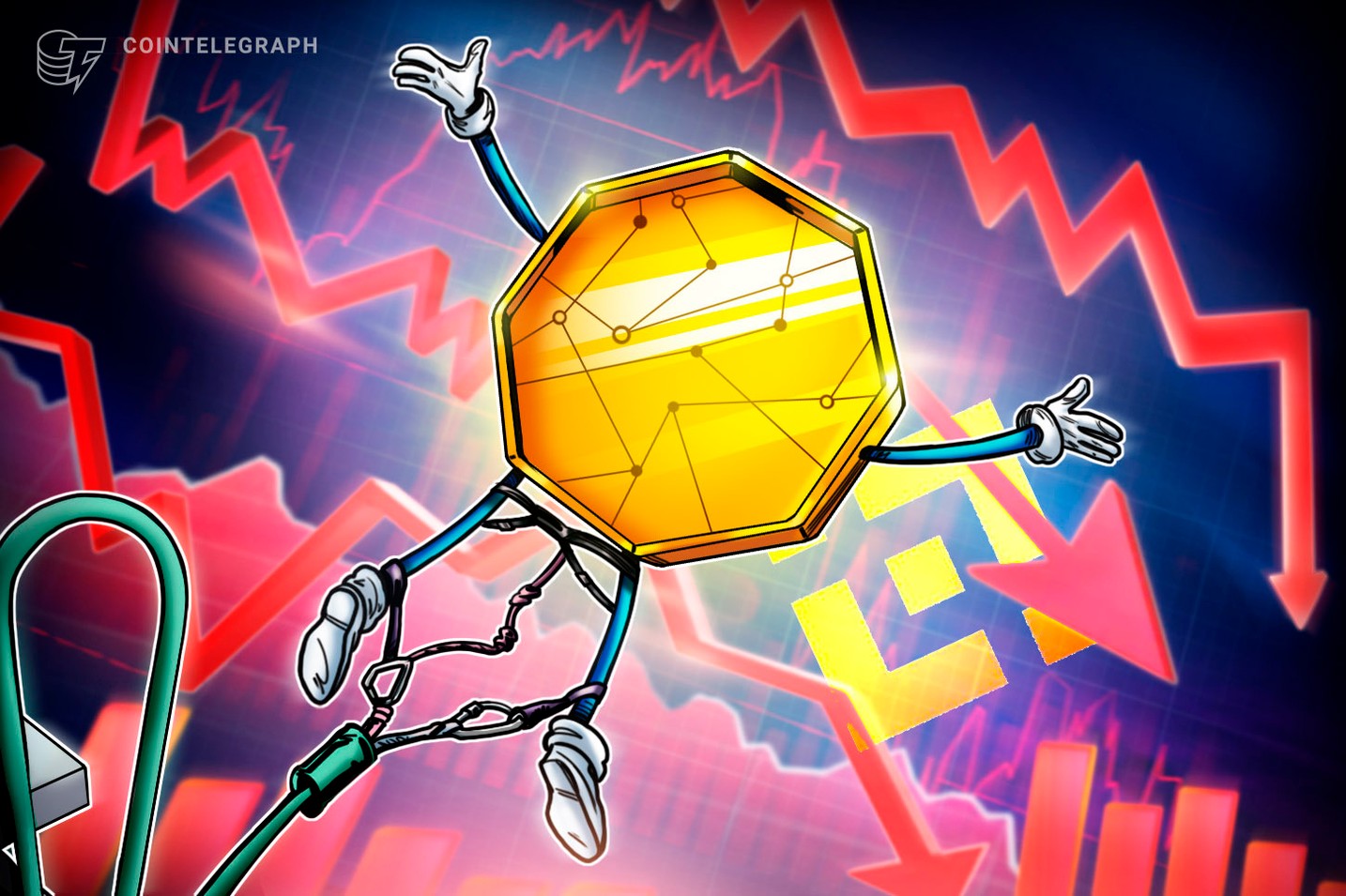 What Led to the Sudden Drop of Some Altcoins on Binance?