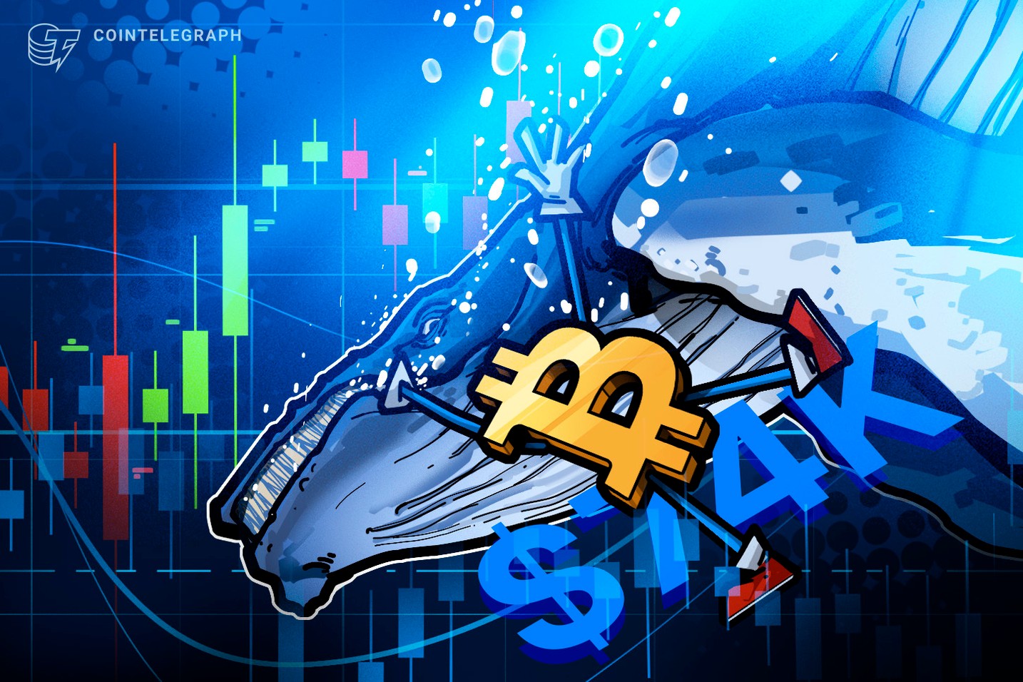 Is Bitcoin Aiming for $74,000? A New Whale Takes a $140 Million Short Position