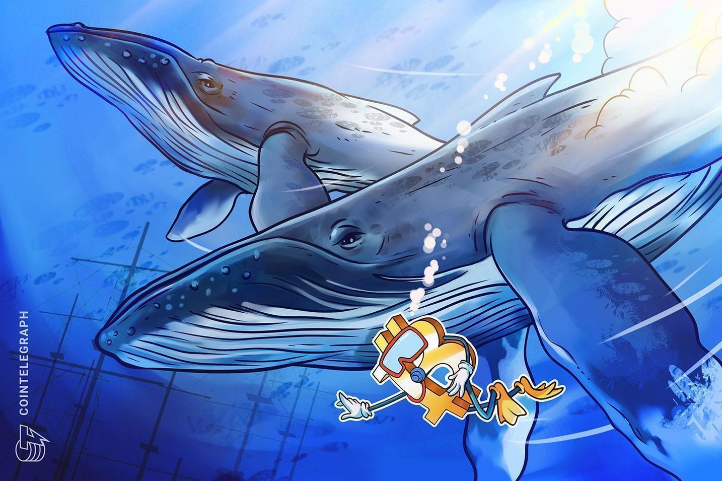 Emergence of New Bitcoin Whales Alters Market Dynamics