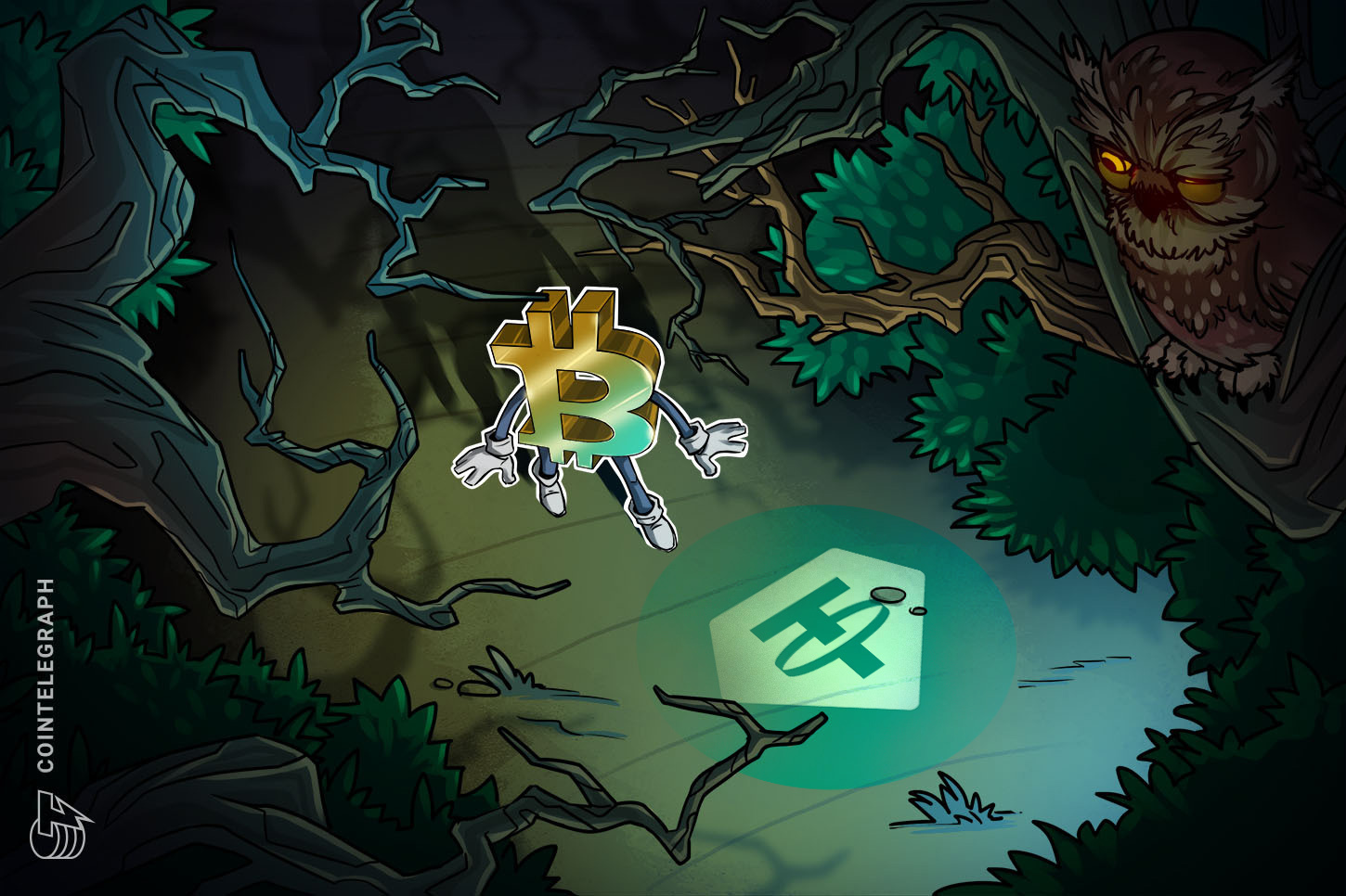 Tether Indicates Possible Bottom for Bitcoin: Could BTC Rally by 100%?